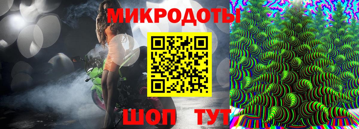 Выборг  Псилоцибиновые грибы Psilocybe  Вход с VPN 